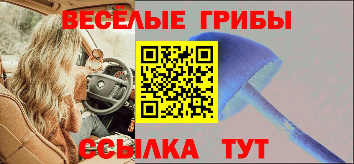 Псилоцибиновые грибы мицелий Узловая