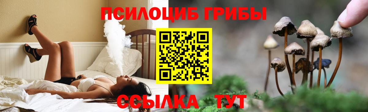 наркошоп  Галлюциногенные грибы Psilocybe  Вход с VPN  Узловая 