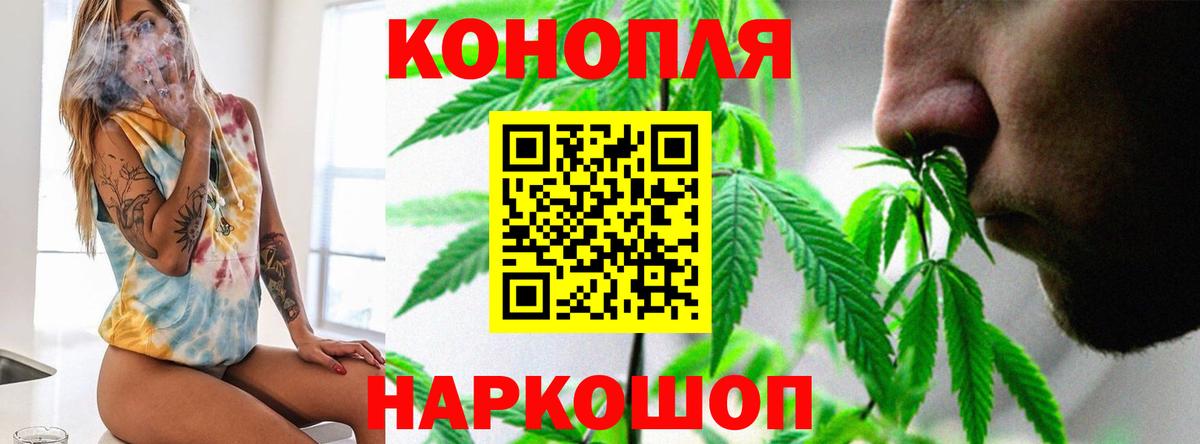 Канабис сатива  Канабис Ganja  Шишки марихуана THC 21%  Марихуана AK-47  Узловая  Вход с VPN 